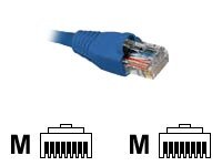Nexxt P.Cable CAT5e 50FT Blue