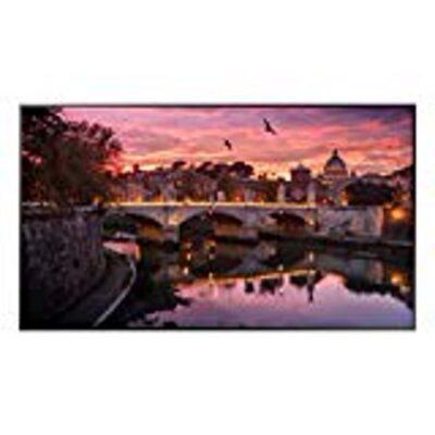 Samsung 65in Disp LH65QBRE