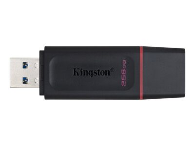 Kingston DataTraveler Exodia - USB flash drive - 256 GB - USB 3.2 Gen 1 - black/pink